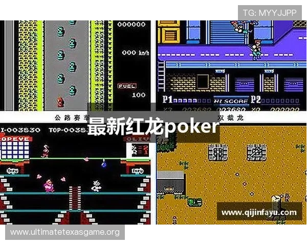红龙扑克网站登录后如何进行账户信息安全设置